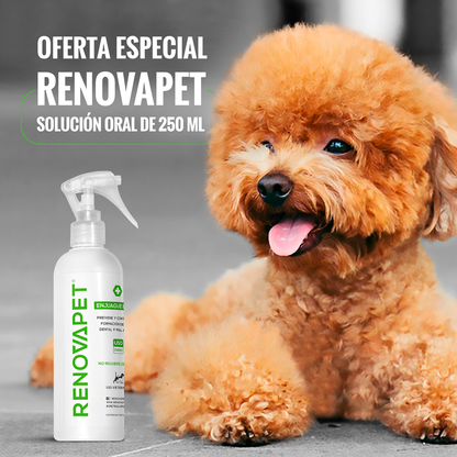 Renovapet Enjuague Bucal 250ml