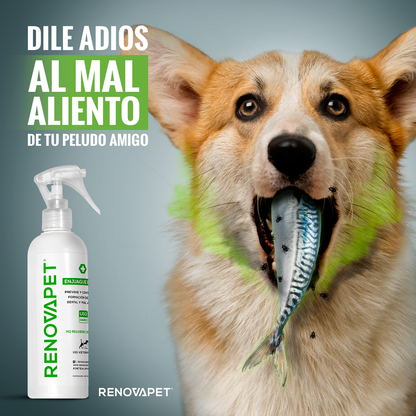 Renovapet Enjuague Bucal 250ml